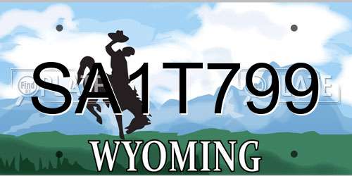 SA1T799 Wyoming License Plate