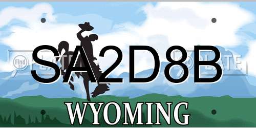 SA2D8B Wyoming License Plate
