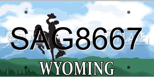 SAG8667 Wyoming License Plate