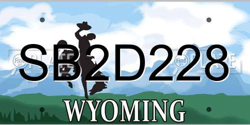 SB2D228 Wyoming License Plate