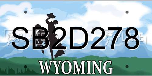 SB2D278 Wyoming License Plate