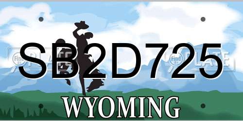 SB2D725 Wyoming License Plate