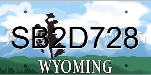 SB2D728 Wyoming License Plate