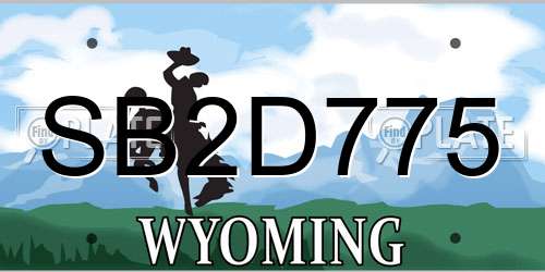 SB2D775 Wyoming License Plate