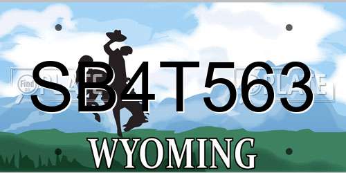 SB4T563 Wyoming License Plate