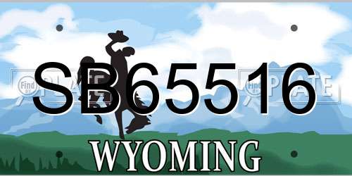 SB65516 Wyoming License Plate