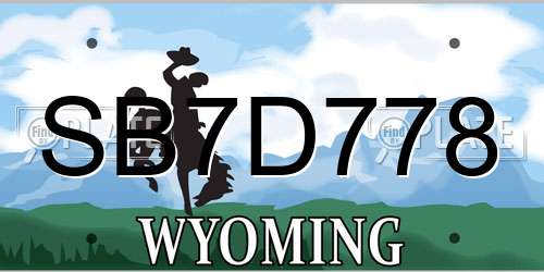 SB7D778 Wyoming License Plate