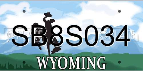 SB8S034 Wyoming License Plate