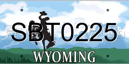 SBT0225 Wyoming License Plate