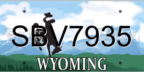 SBV7935 Wyoming License Plate