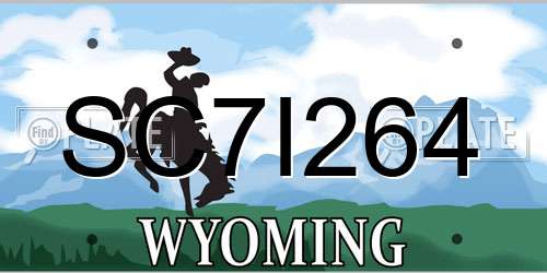 SC7I264 Wyoming License Plate