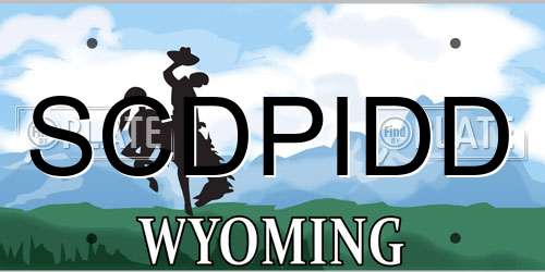 SCDPIDD Wyoming License Plate