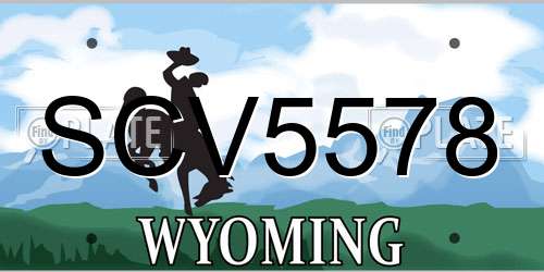 SCV5578 Wyoming License Plate