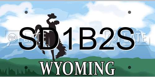 SD1B2S Wyoming License Plate