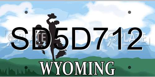 SD5D712 Wyoming License Plate