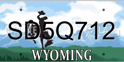 SD5Q712 Wyoming License Plate