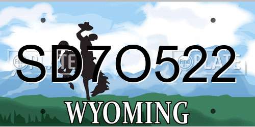 SD7O522 Wyoming License Plate