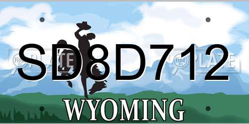 SD8D712 Wyoming License Plate