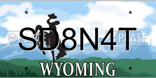 SD8N4T Wyoming License Plate