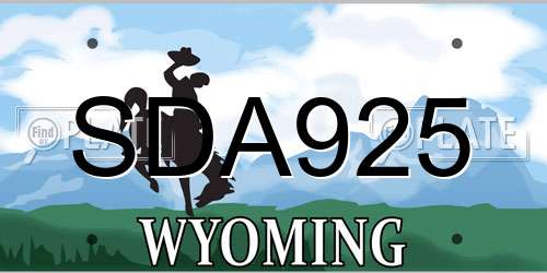 SDA925 Wyoming License Plate