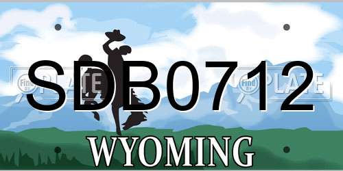 SDB0712 Wyoming License Plate