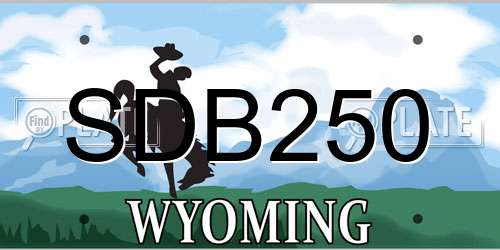 SDB250 Wyoming License Plate