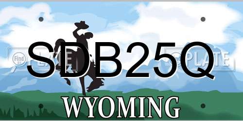 SDB25Q Wyoming License Plate