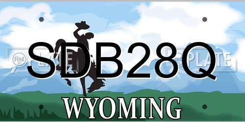 SDB28Q Wyoming License Plate