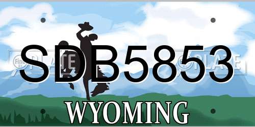 SDB5853 Wyoming License Plate