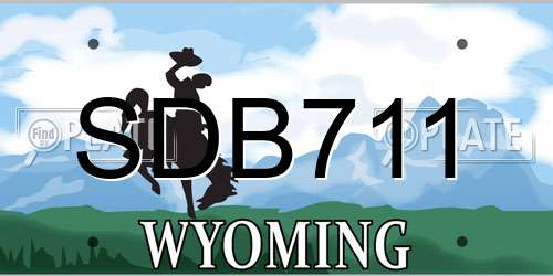 SDB711 Wyoming License Plate
