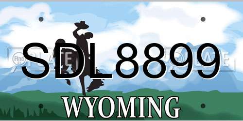 SDL8899 Wyoming License Plate