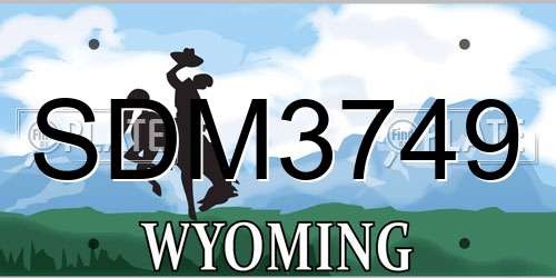 SDM3749 Wyoming License Plate
