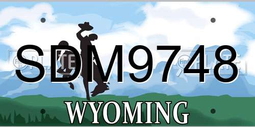 SDM9748 Wyoming License Plate