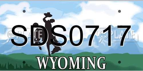 SDS0717 Wyoming License Plate