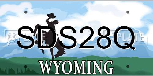 SDS28Q Wyoming License Plate