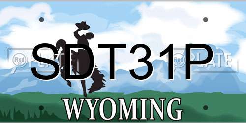 SDT31P Wyoming License Plate