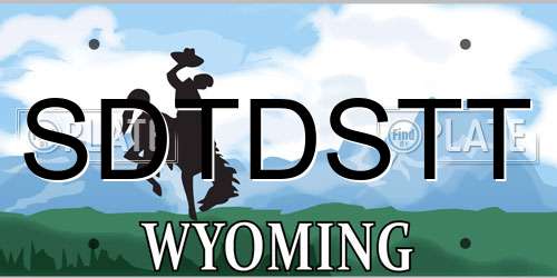 SDTDSTT Wyoming License Plate