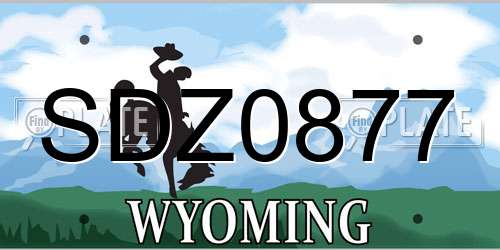 SDZ0877 Wyoming License Plate