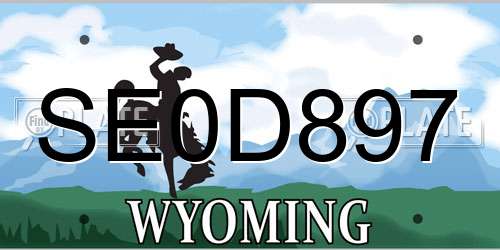 SE0D897 Wyoming License Plate