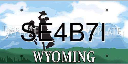 SE4B7I Wyoming License Plate