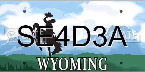 SE4D3A Wyoming License Plate
