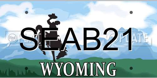 SEAB21 Wyoming License Plate