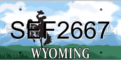 SEF2667 Wyoming License Plate