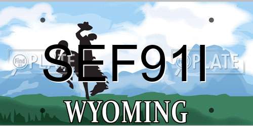 SEF91I Wyoming License Plate