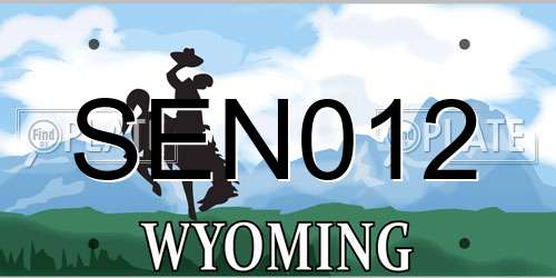 SEN012 Wyoming License Plate