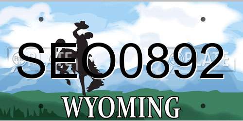 SEO0892 Wyoming License Plate
