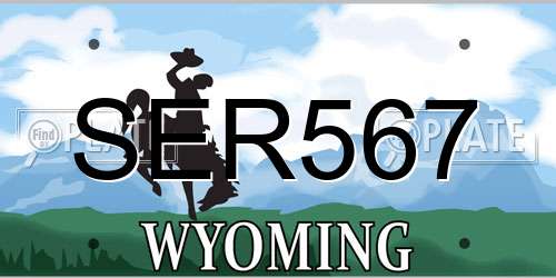 SER567 Wyoming License Plate