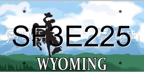SF3E225 Wyoming License Plate