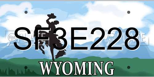 SF3E228 Wyoming License Plate