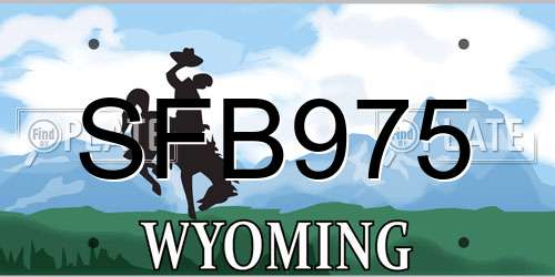 SFB975 Wyoming License Plate